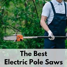 Cordless Pole Saw