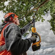 Dewalt Pole Saw