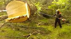 Pruning Saw