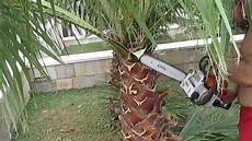 Pruning Saw