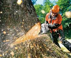 Stihl Chainsaw