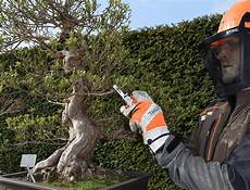 Stihl Cordless Chainsaw