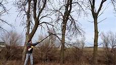 Stihl Pole Saw