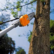 Stihl Pole Saw